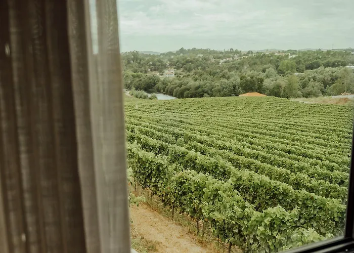 팜스테이 Quinta Areias - Solar Da Pena 브라가