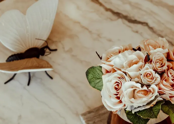 Quinta Areias - Solar Da Pena Bauernhof *