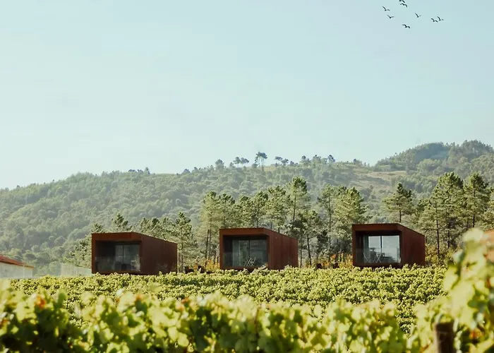 Quinta Areias - Solar Da Pena Braga